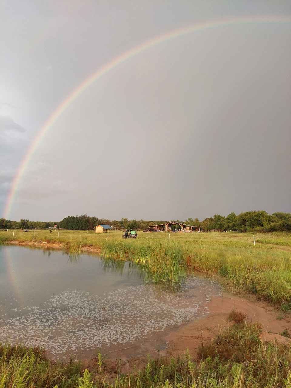 Welcome to New Gokul: Visit or Join Our Loving Community!